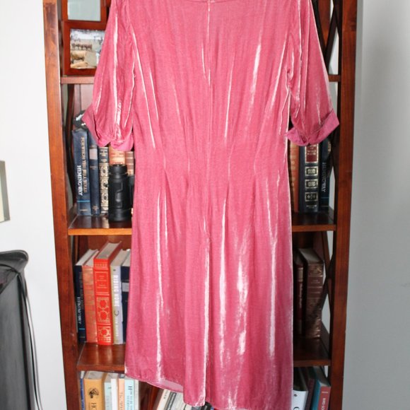 NOA Silk Blend Velvet Dress - Picture 2 of 5
